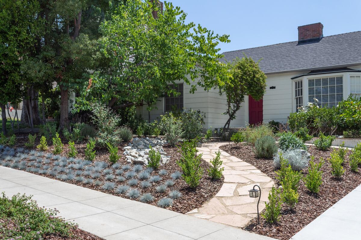 A Los Angeles front yard with drought-tolerant landscaping, featuring succulents, native grasses, and a stone walkway in bright daylight