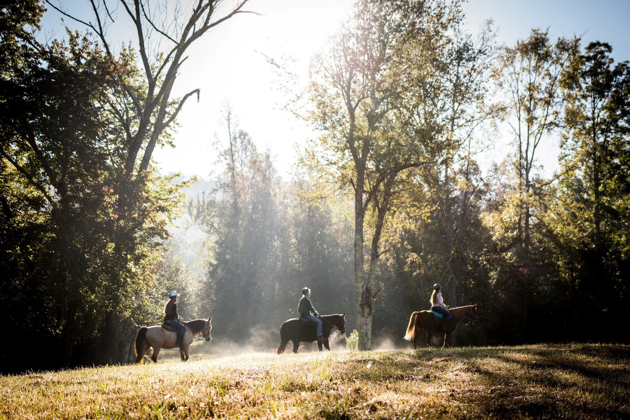 A real photograph of an equestrian trail near Hidden Hills with a wooden fence, sandy path, and rolling hills under clear California skies