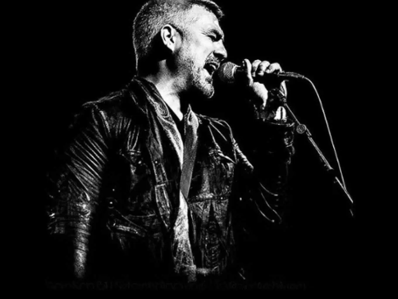 Taylor Hicks onstage performing live with a microphone, under warm stage lighting