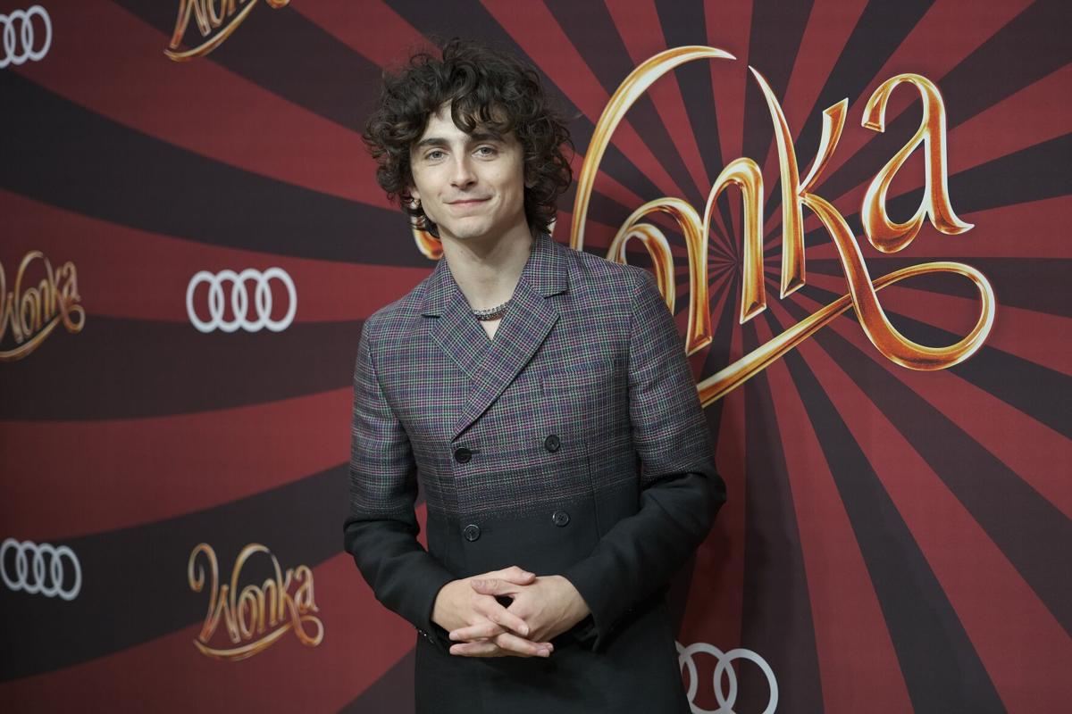 Timothée Chalamet arriving at a movie premiere, smiling while photographers take photos from behind a barricade